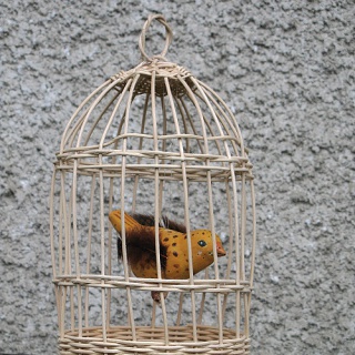 žlutý ptáček s peříčky